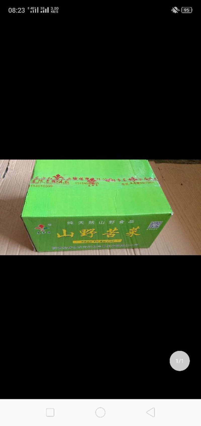 野苦菜