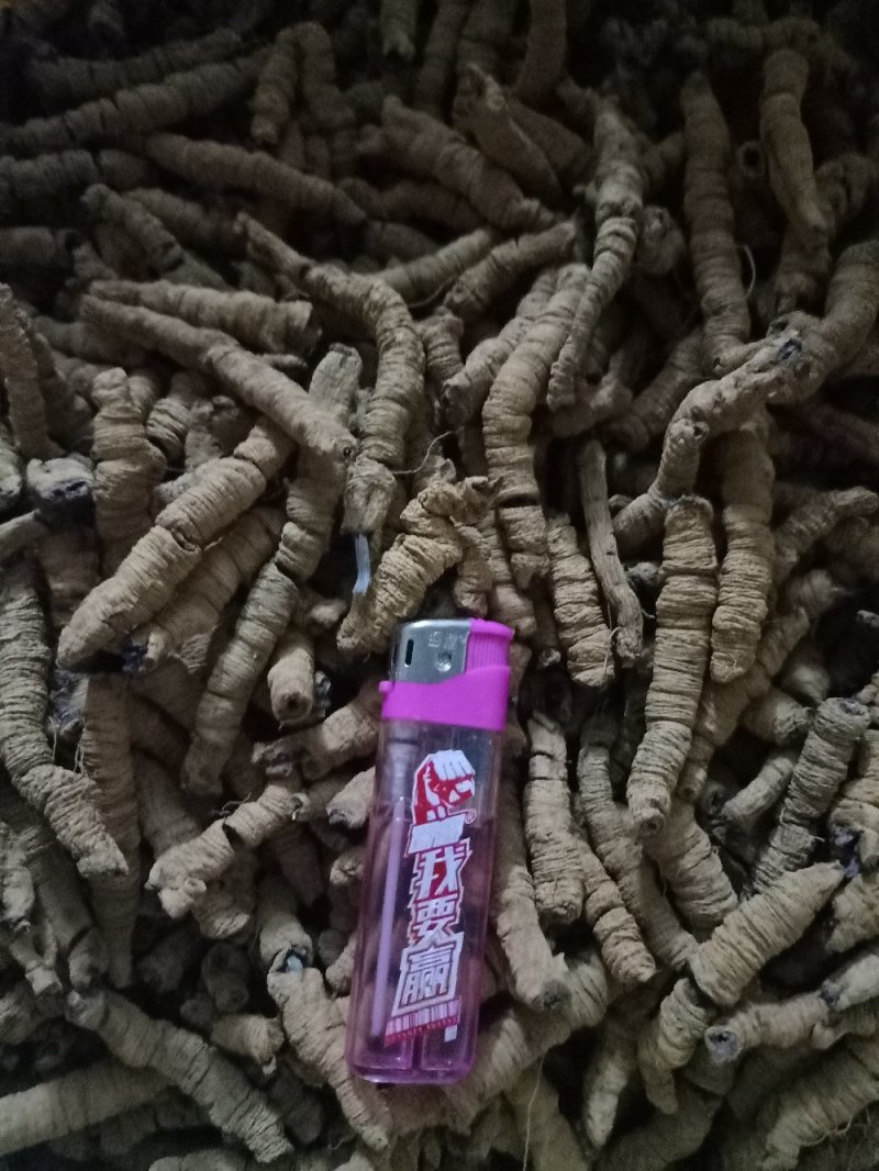 巴戟干，桂皮干