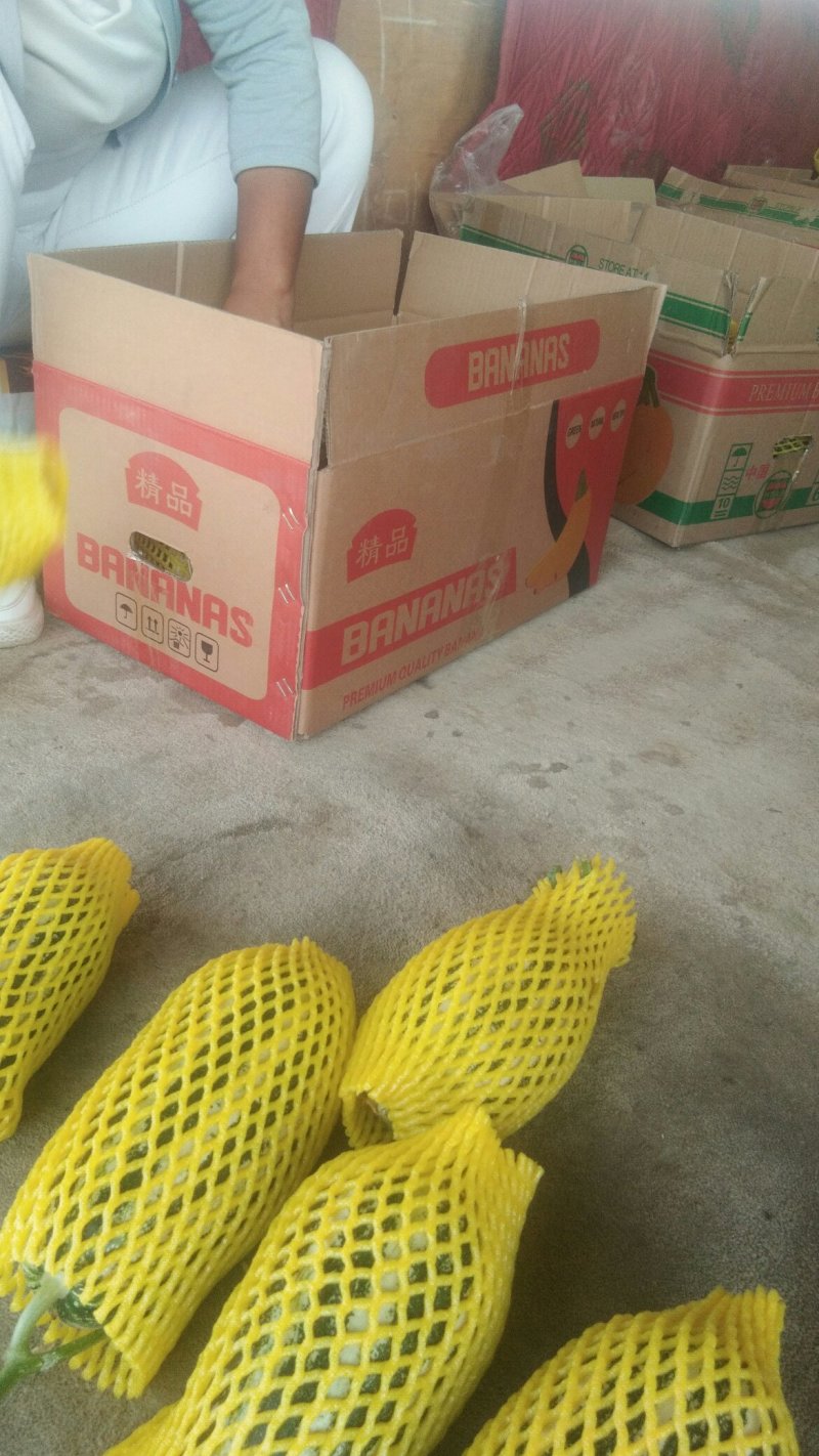 精品博阳系列，欢迎全国各地前来收购