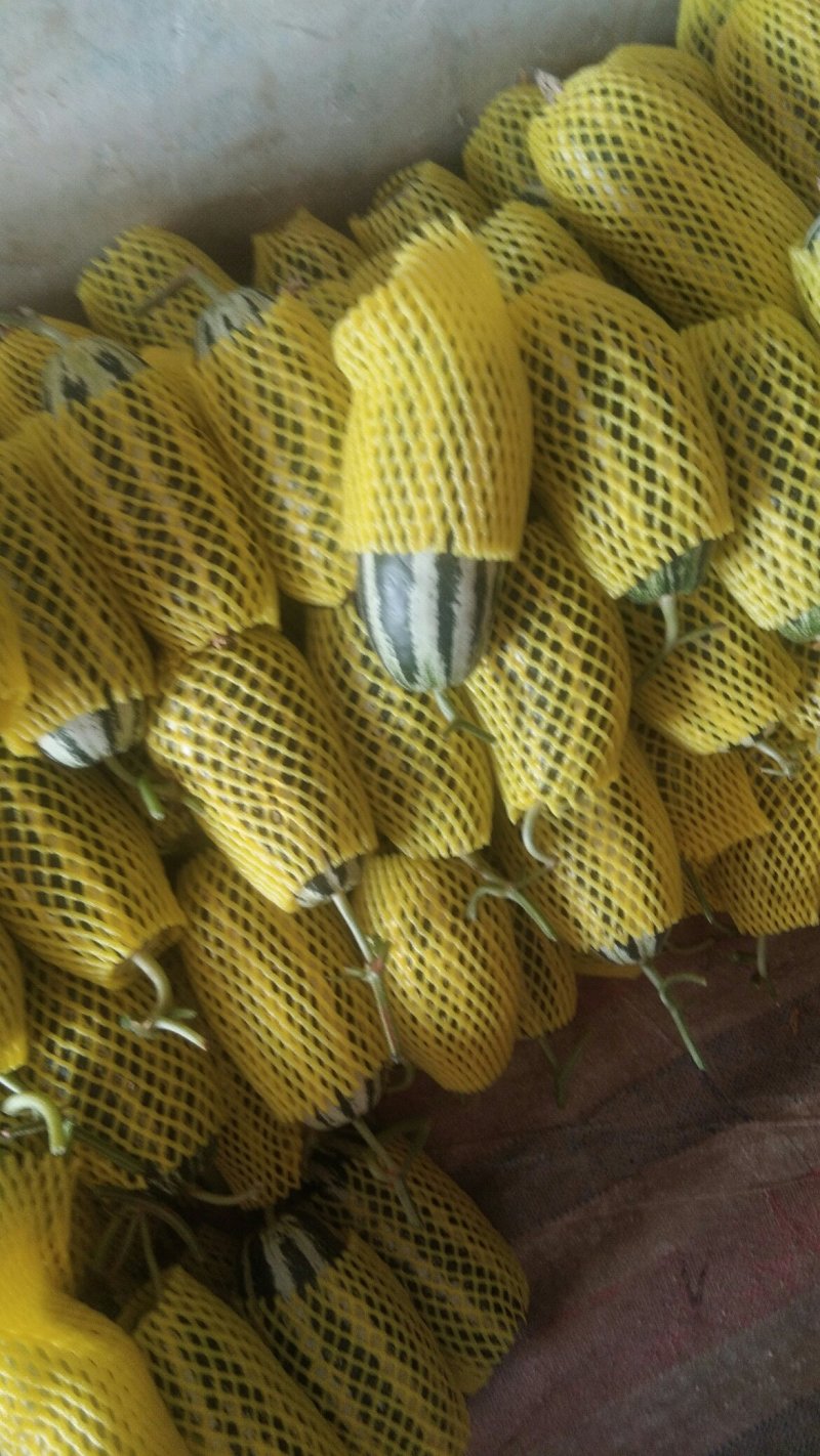 精品博阳系列，欢迎全国各地前来收购