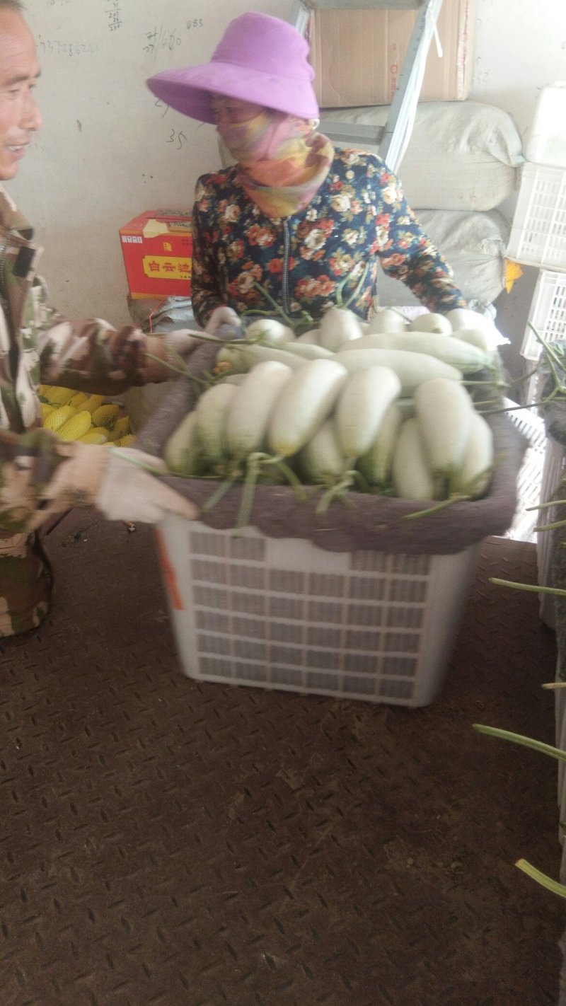 精品博阳系列，欢迎全国各地前来收购