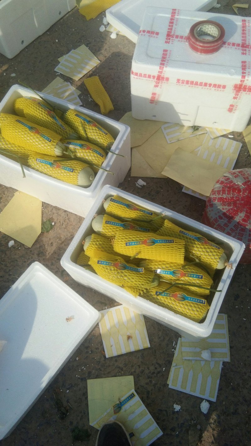 精品博阳系列，欢迎全国各地前来收购
