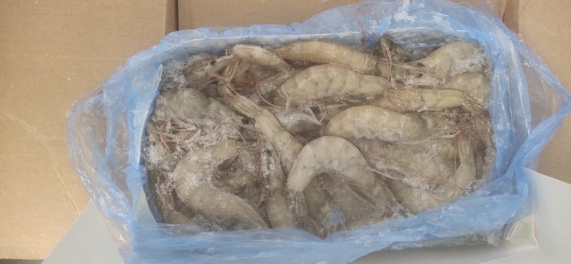 厄瓜多尔进口虾