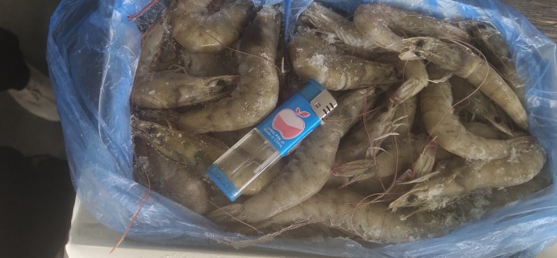 厄瓜多尔进口虾