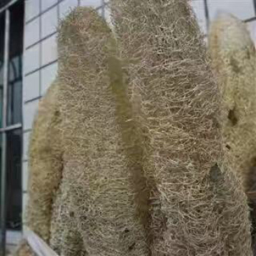 昌玉药材丝瓜络产地直销质量保证