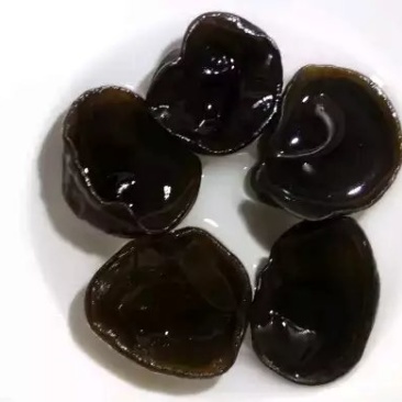 黑龙江特产木耳秋耳吊袋袋小碗耳
