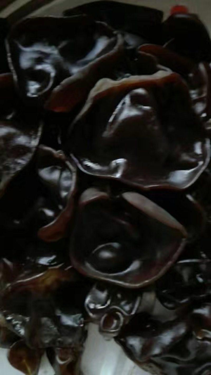 黑龙江特产木耳秋耳吊袋袋小碗耳
