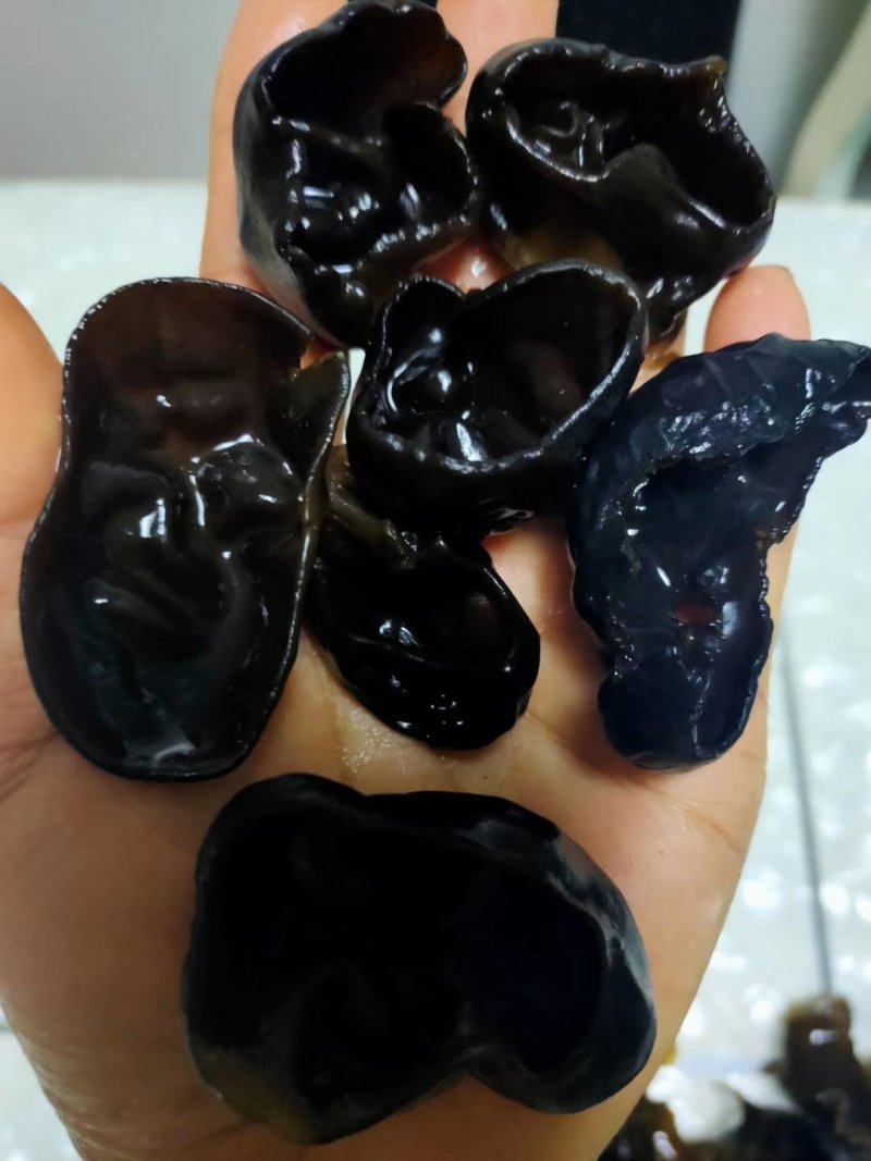 黑龙江特产木耳秋耳吊袋袋小碗耳