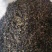 长期大量供应茶梗：茶沫：茶片
