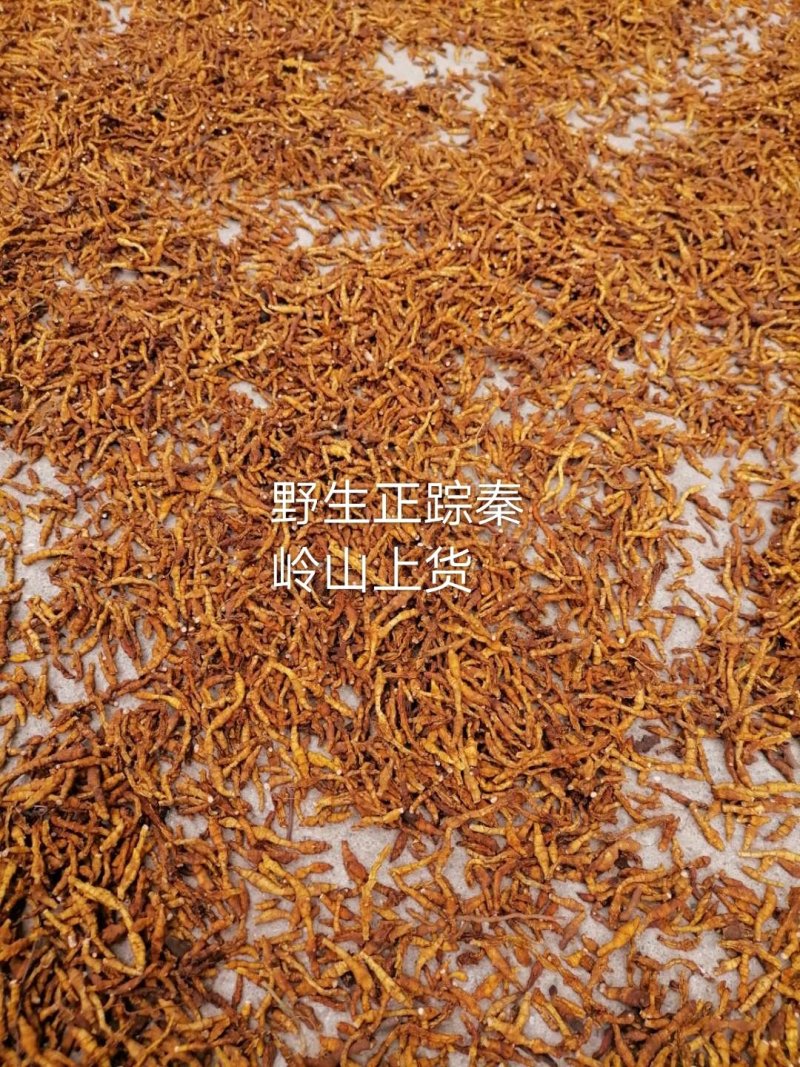九节菖蒲精品药材原产地直发支持视频看货