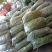 豇豆（新鲜豇豆现货）