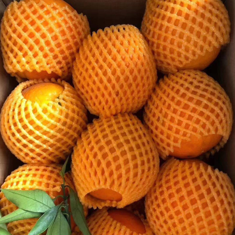 秭归夏橙