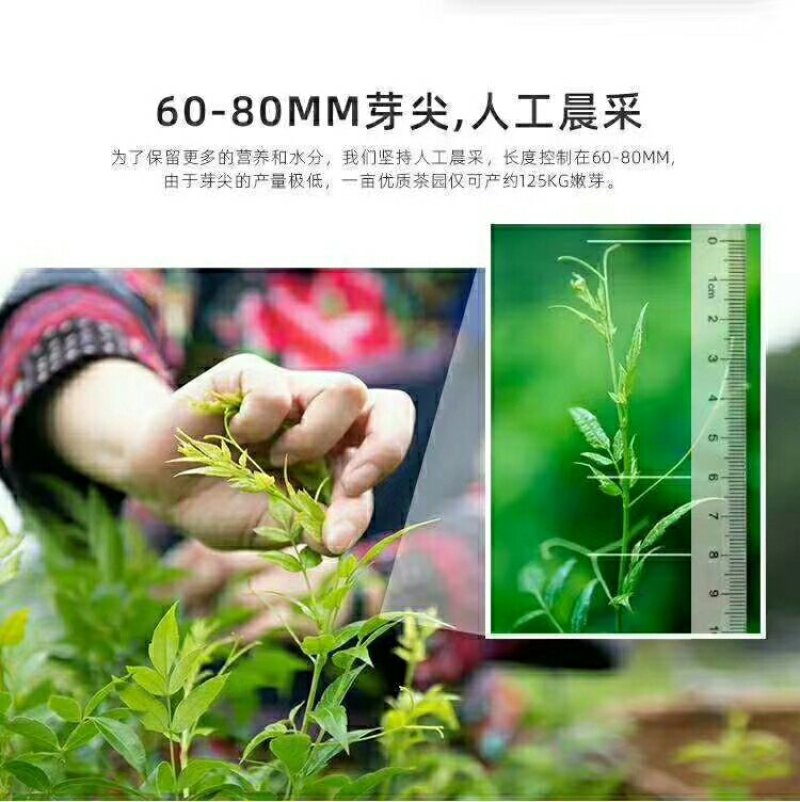 张家界莓茶