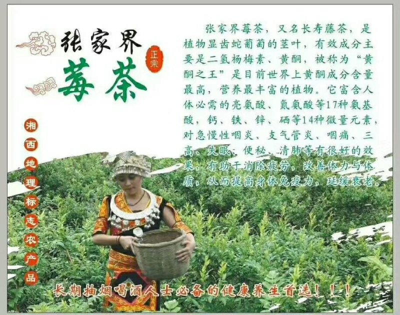 张家界莓茶