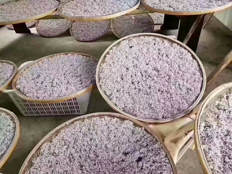 张家界莓茶