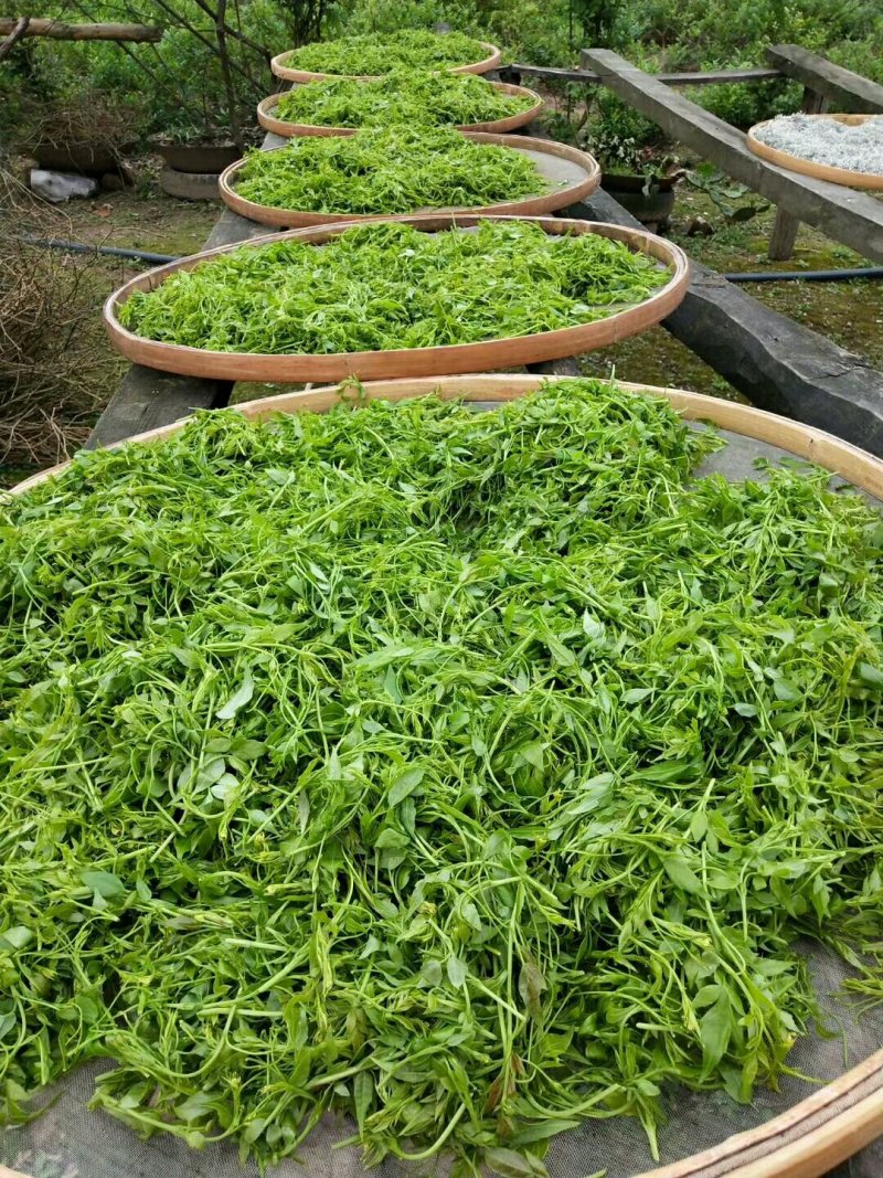 张家界莓茶