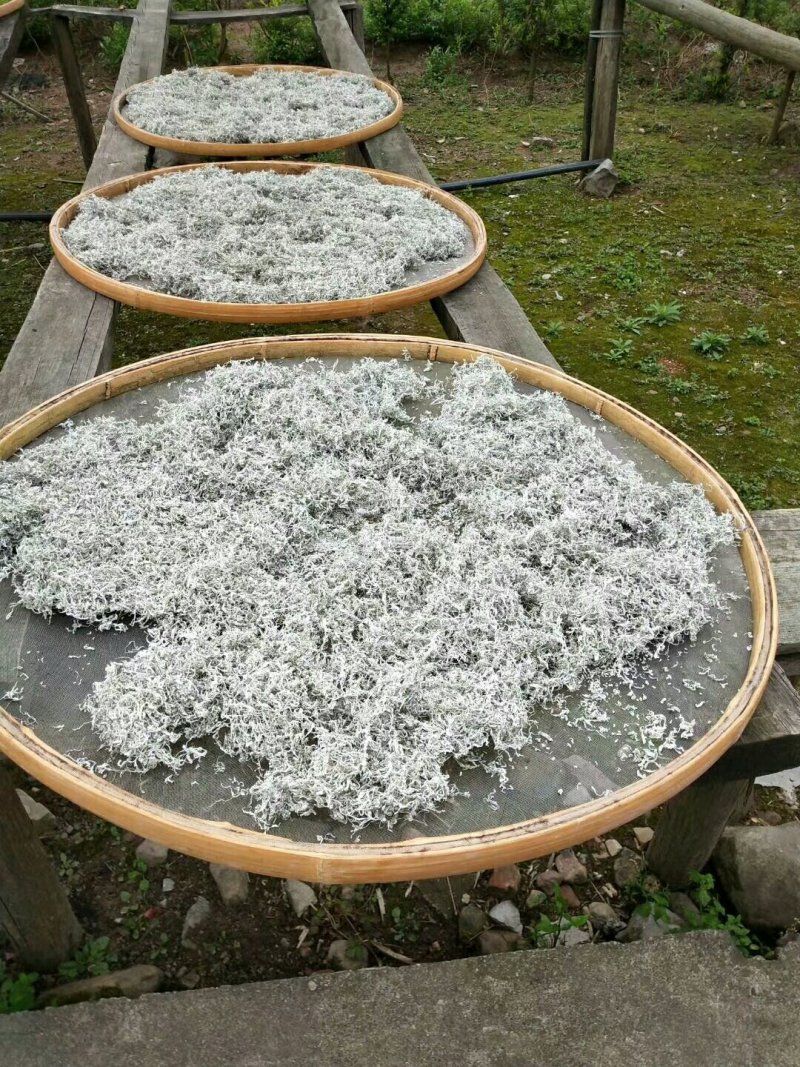 张家界莓茶