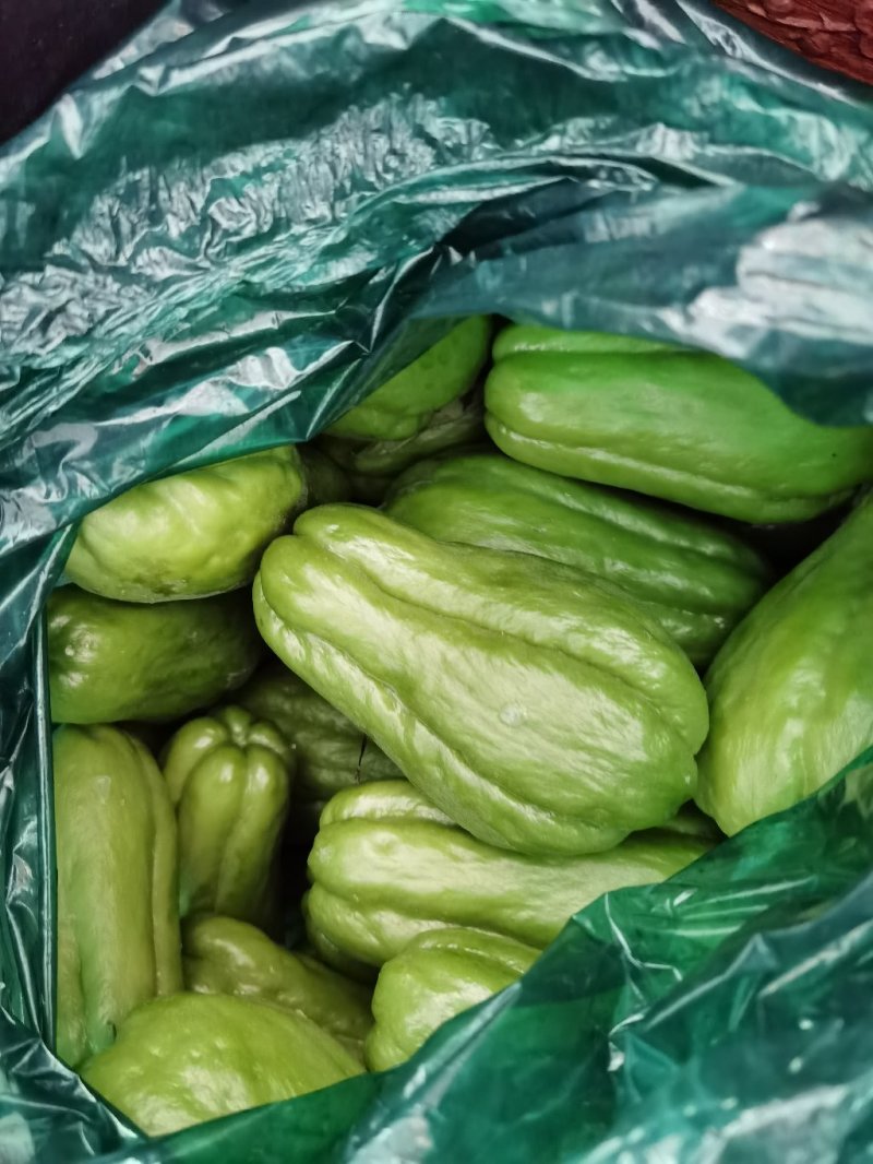 佛手瓜，，依着自己种自己销，我们有自己的合作社。