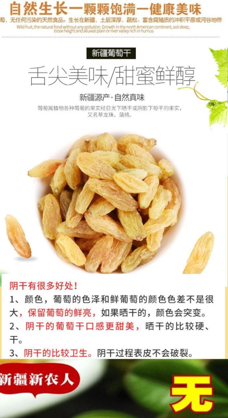 树上黄葡萄干新疆树上黄葡萄干包邮