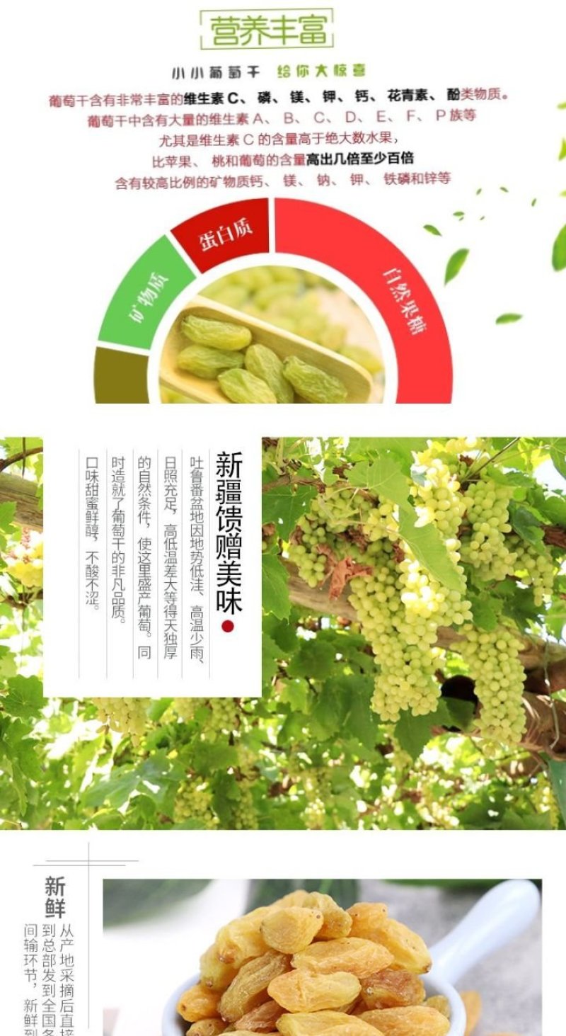 树上黄葡萄干新疆树上黄葡萄干包邮