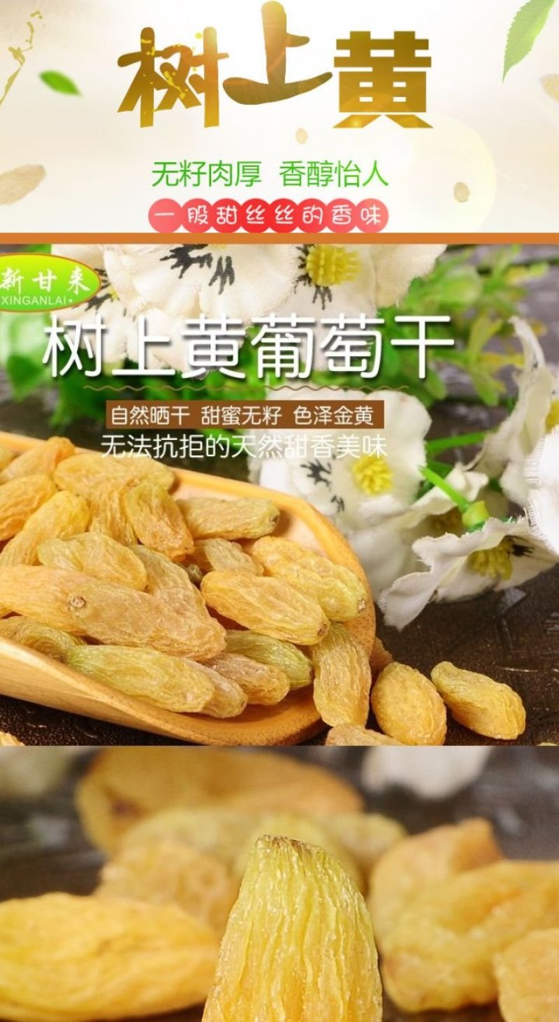 树上黄葡萄干新疆树上黄葡萄干包邮