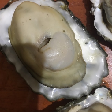生蚝批发