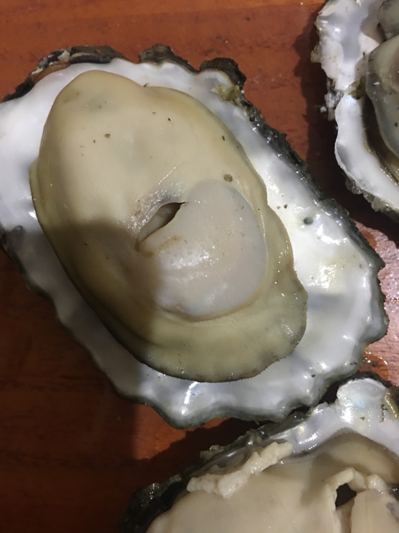 生蚝批发