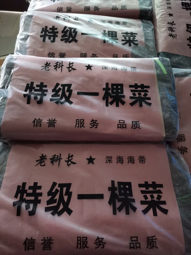 纯青海带片：新品无沙一棵菜.30公分短板菜.口感好杂质少