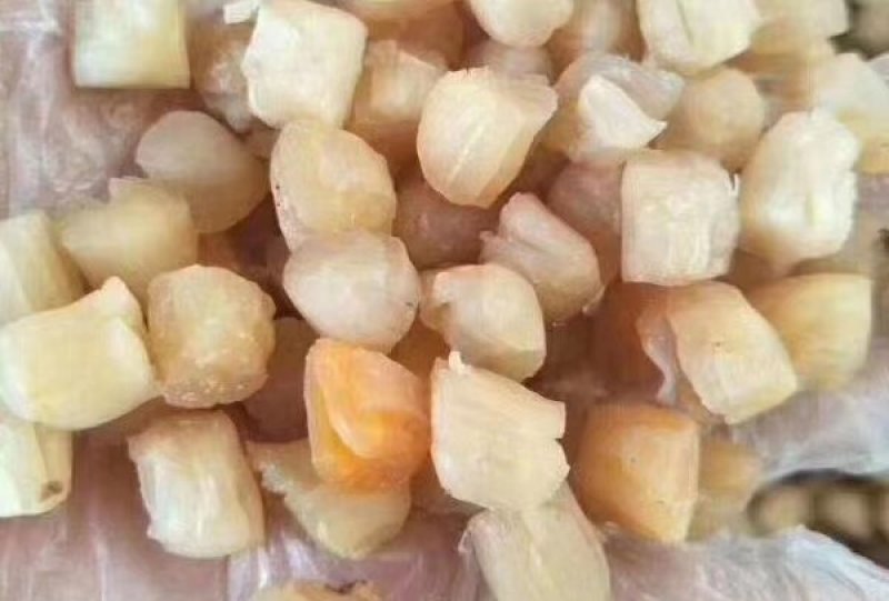 广东粤东沿海野生本港各种干货