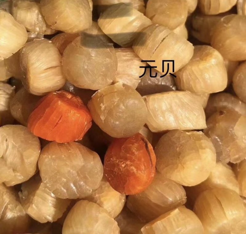 广东粤东沿海野生本港各种干货