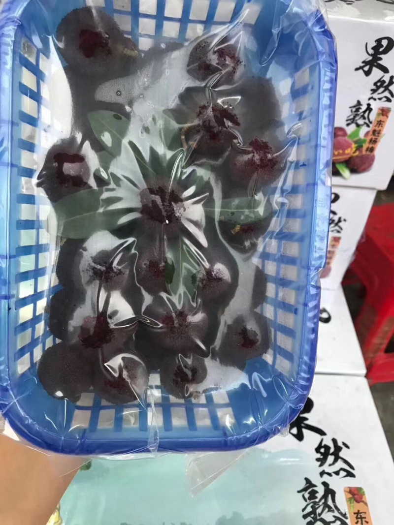 东魁杨梅每日新鲜到货江南直批发