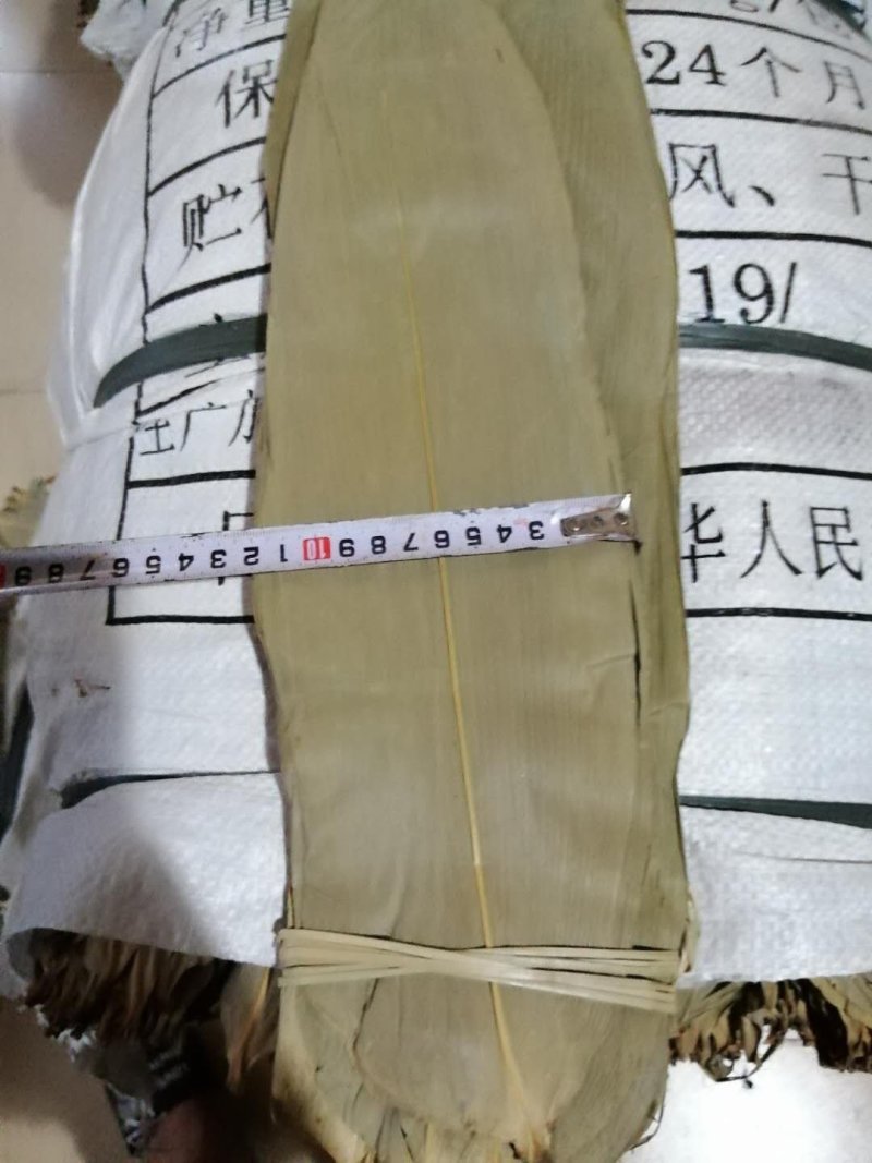 粽叶