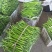 精品线椒现摘现发当天货源质量保障量大从优诚信合作等您来电