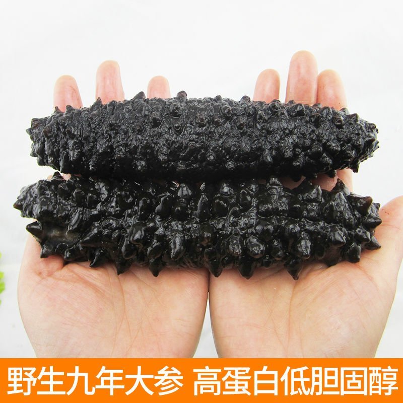 【旗舰活动】即食海参进口米刺参海鲜海产品非大连辽参淡