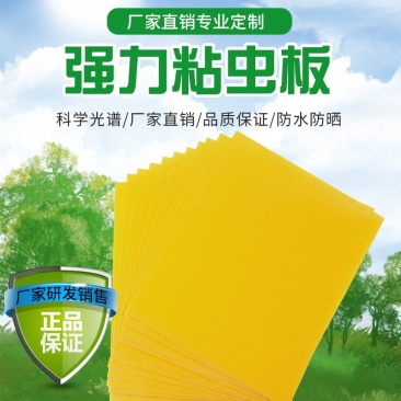 双面敷胶诱虫板粘虫板菜地田间杀虫板进口PP材质粘虫板