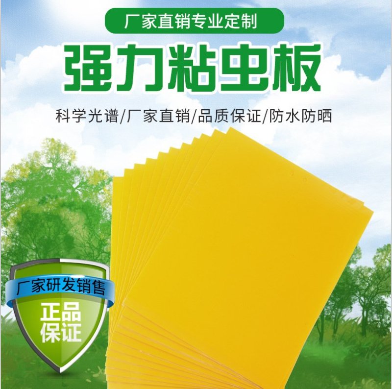 双面敷胶诱虫板粘虫板菜地田间杀虫板进口PP材质粘虫板