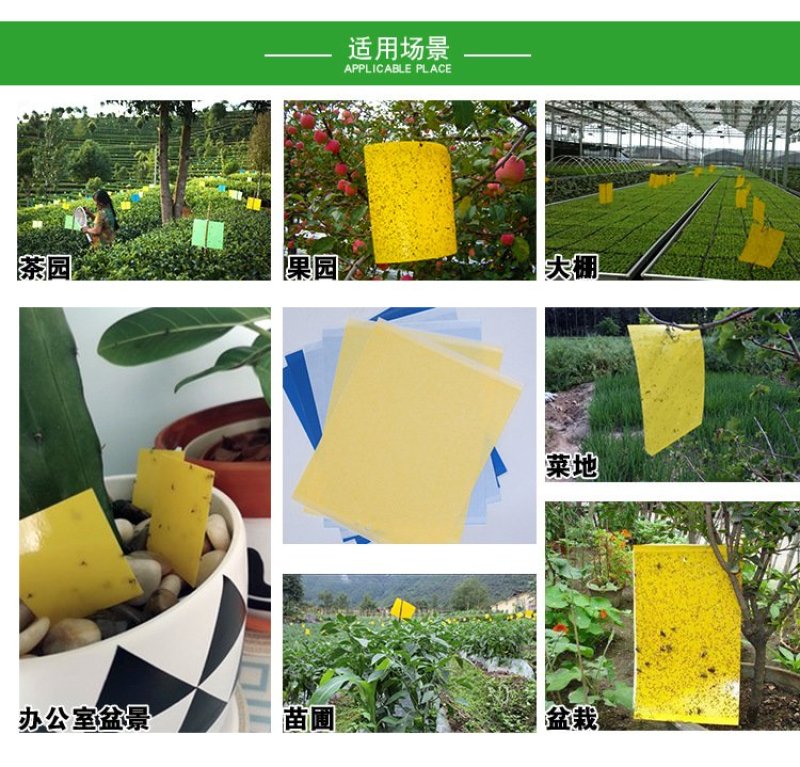 双面敷胶诱虫板粘虫板菜地田间杀虫板进口PP材质粘虫板