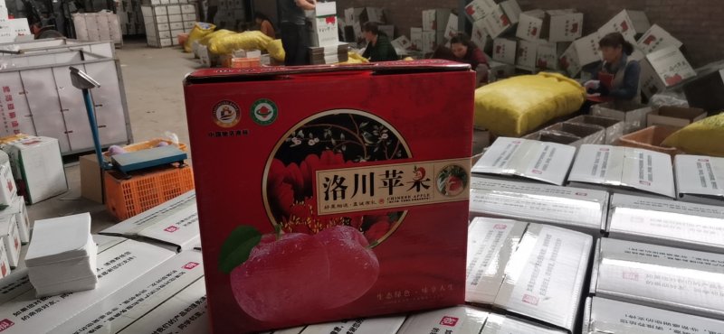 洛川苹果12枚大果礼盒装送家人送好友企业团购福利包邮