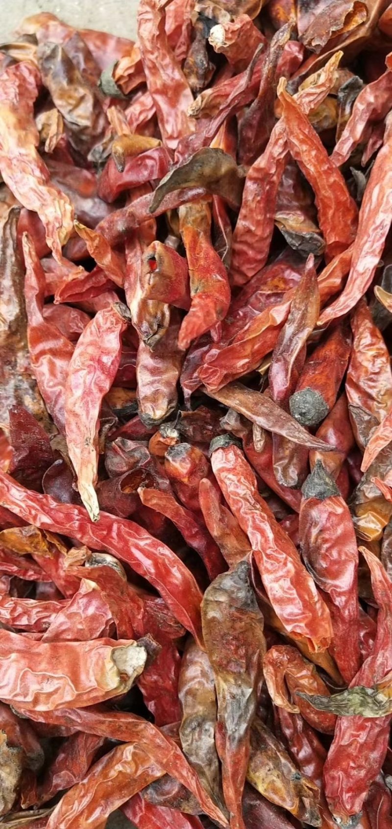 辣椒