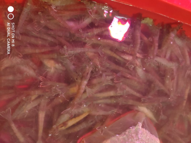 精品南美白对虾，鲜活，产地直供，支付线上交易