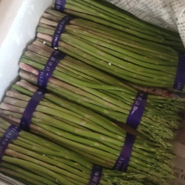 梁河芦笋产量大质量优等