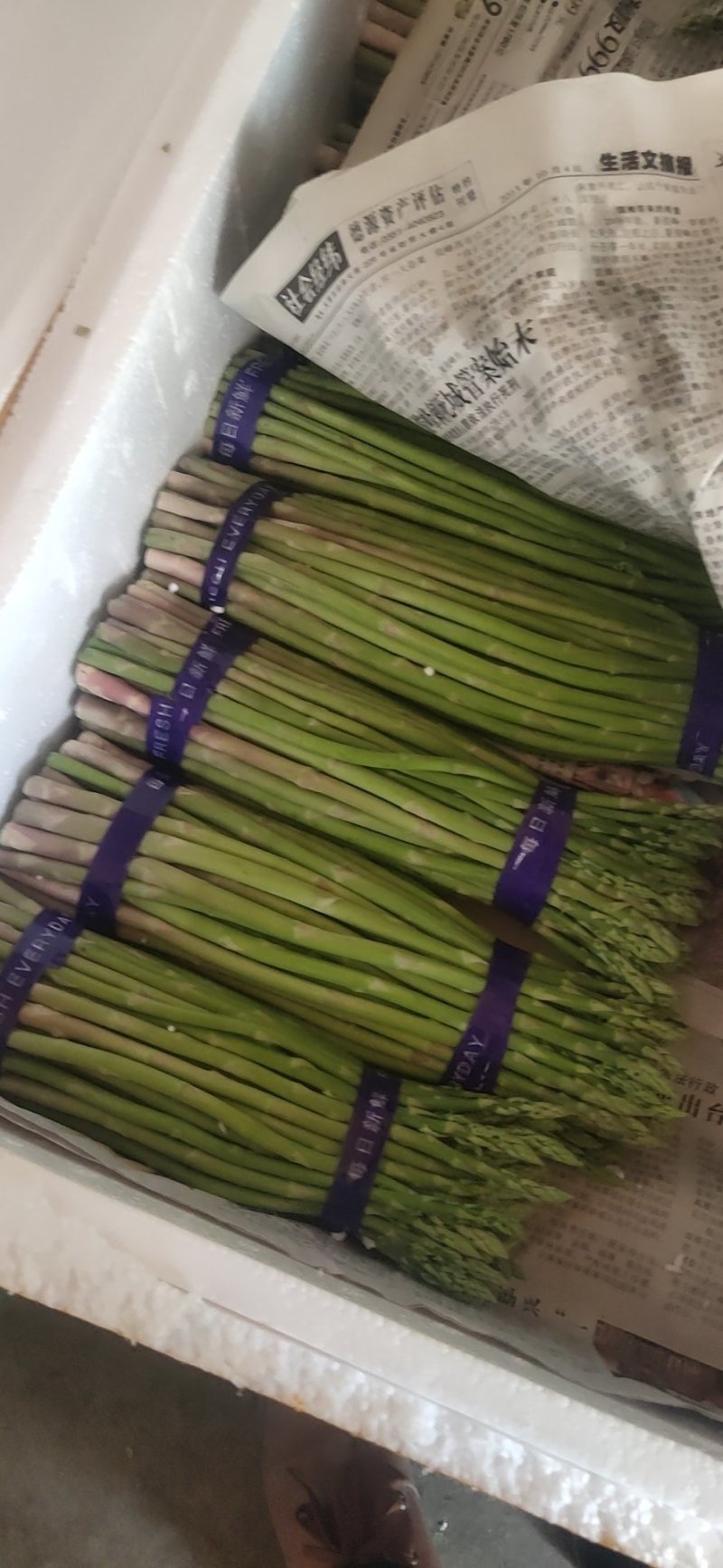 梁河芦笋产量大质量优等