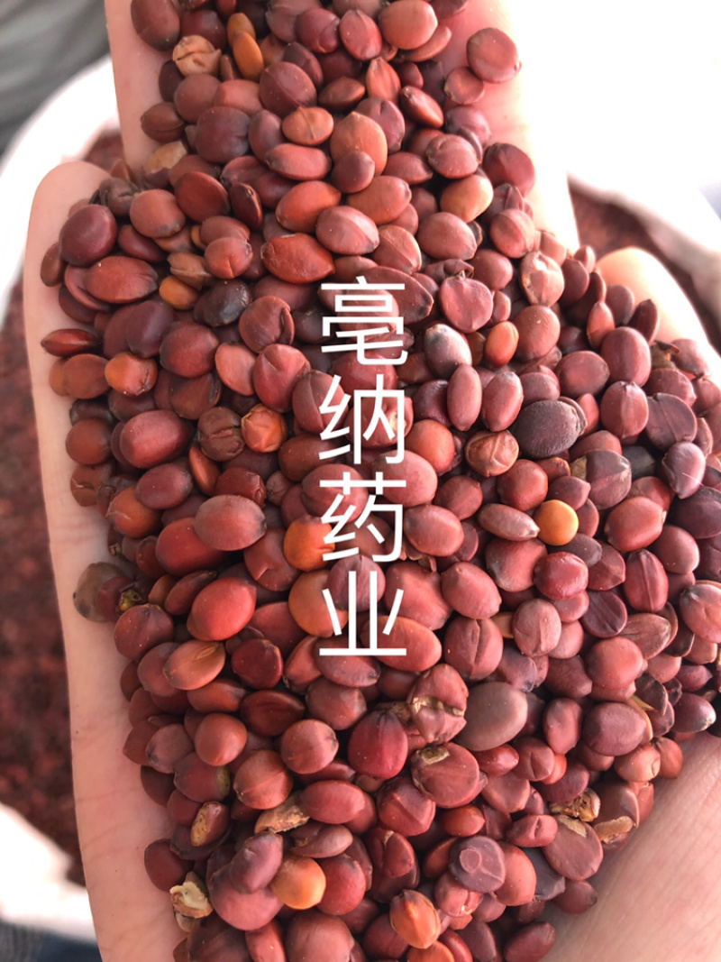 酸枣仁炒酸枣仁中药材国产酸枣仁1⃣️公斤起批