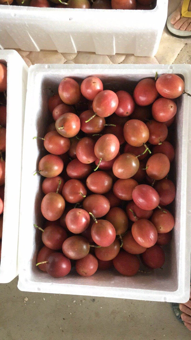 百香果西番莲（自家果园种植）