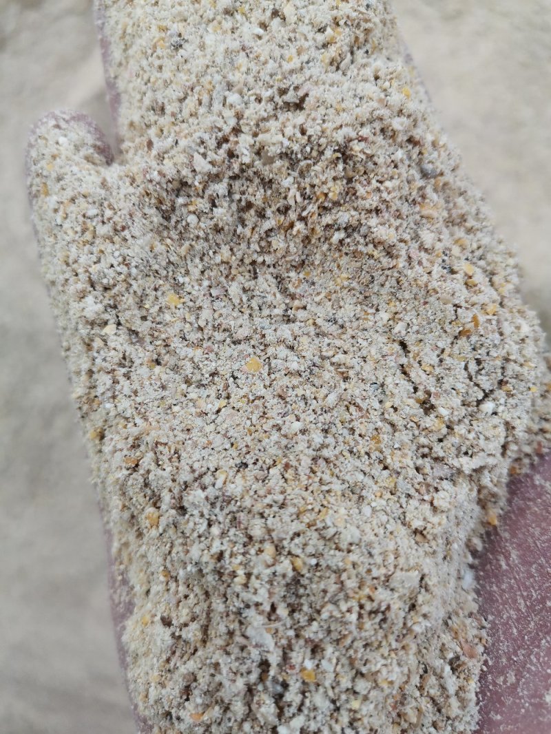 碎玉米次粉，下脚料，适合鸡鸭鹅养殖111