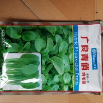 200克广良青俏青梗菜种子