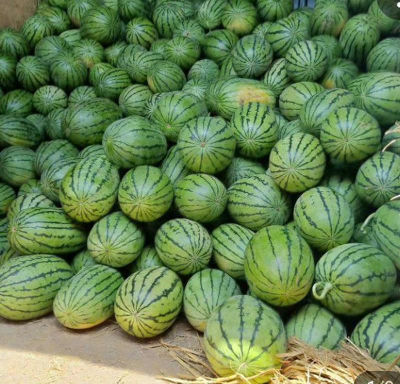 早春红玉西瓜，3斤以上，包熟包送，包甜，万亩产地直销安徽