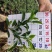非洲茉莉基地农户直销清场