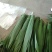 潮河湾粽叶