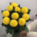 现货秒发！新乒乓球菊苗菊花苗乒乓菊苗